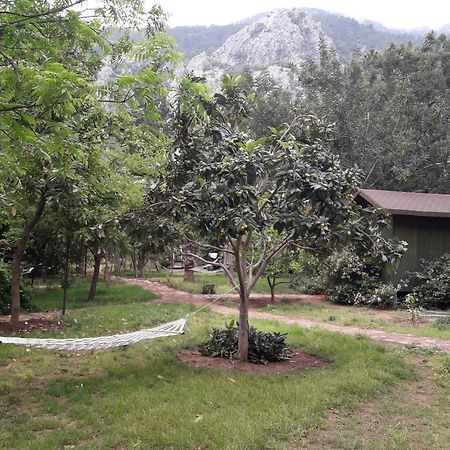 Kibala Hotel Çıralı Ngoại thất bức ảnh
